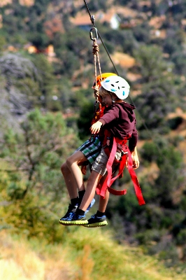 Forest outdoor person rope Photo