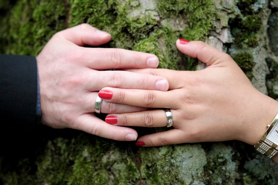 Hand man tree nature