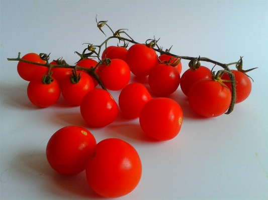 Plant fruit food red Photo