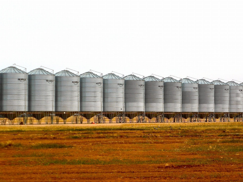 Madera granja trigo grano