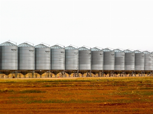 Wood farm wheat grain Photo