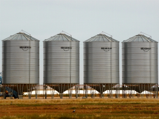 Farm wheat grain building Photo