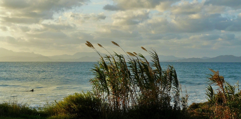 Beach landscape sea coast