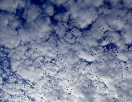 Nature cloud sky white Photo