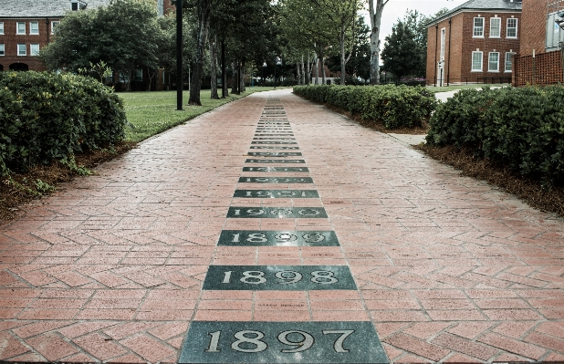 Path outdoor pedestrian road Photo