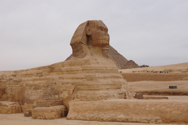 Landscape sand rock wood Photo