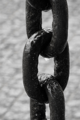 Hand black and white photography chain Photo