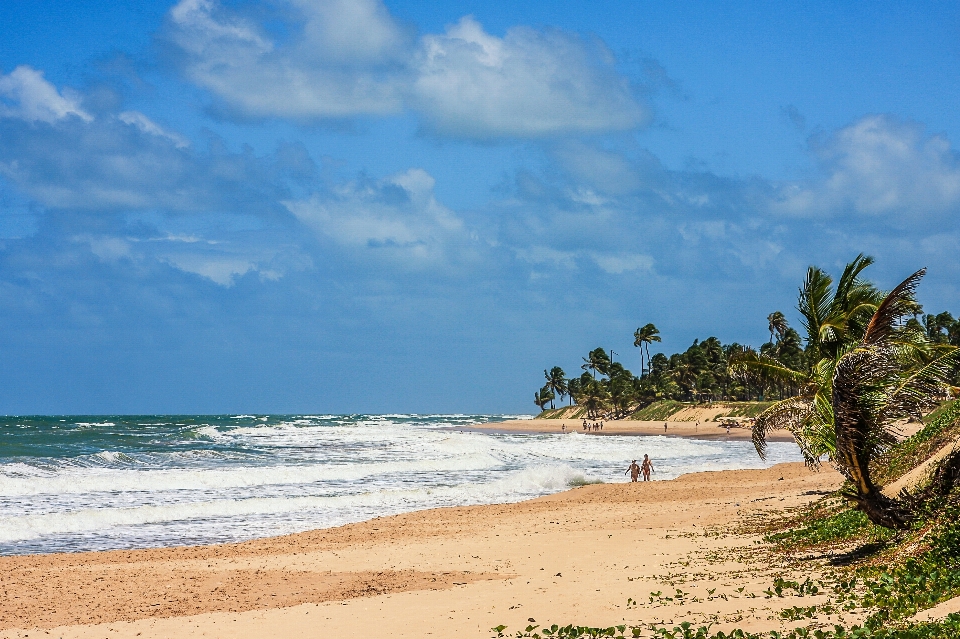 Playa mar costa agua