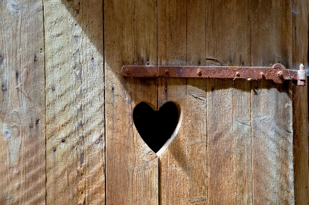 Wing wood old wall Photo