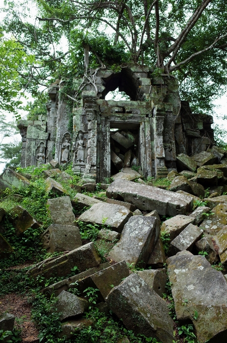 дерево rock здание камень