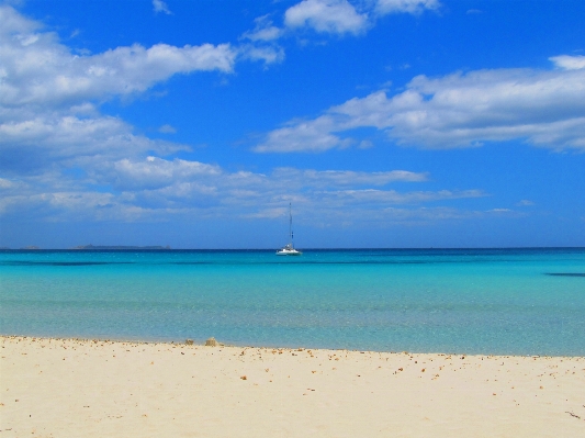 Beach sea coast water Photo