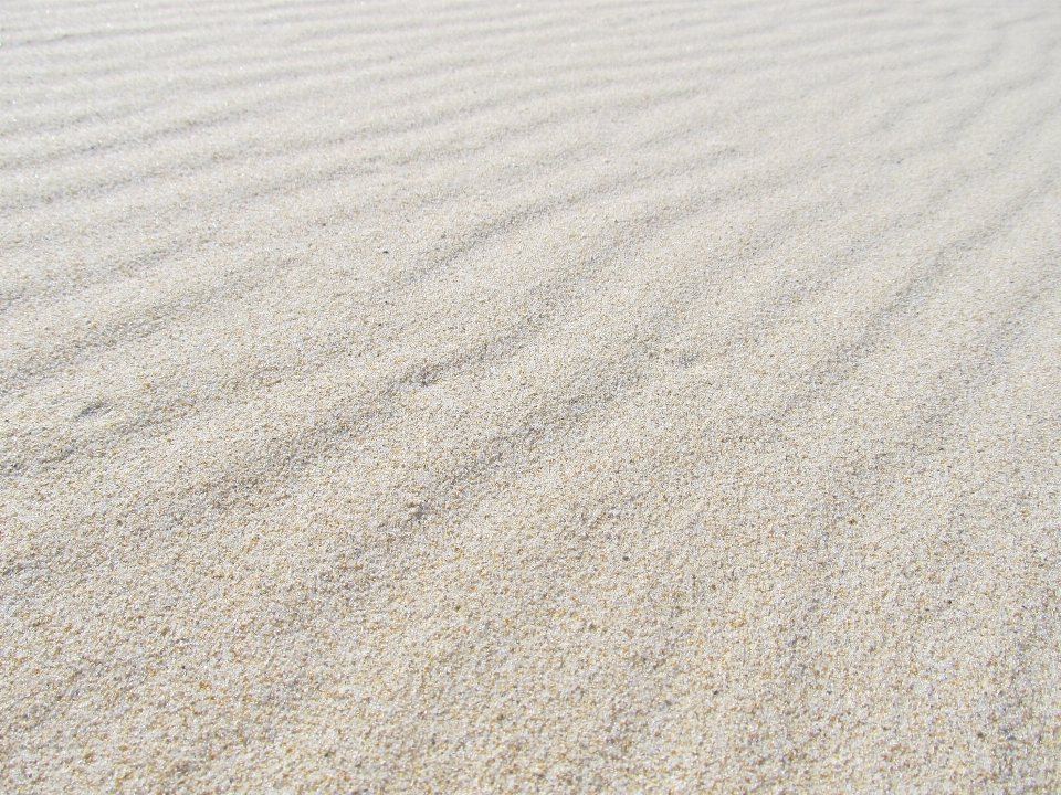 Plage sable bois blanc