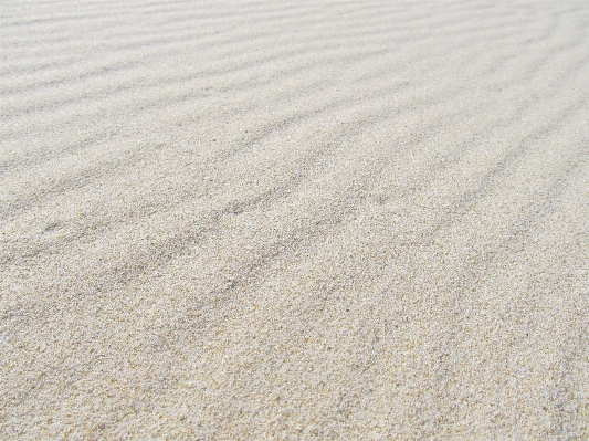 Beach sand wood white Photo