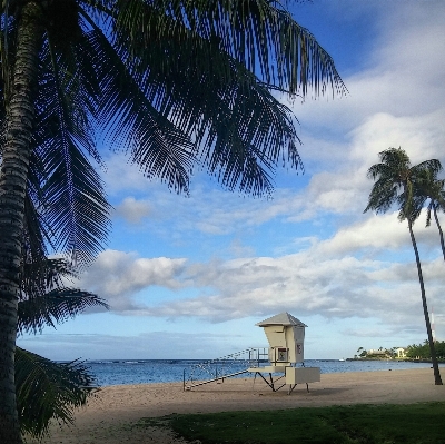 Beach landscape sea coast Photo