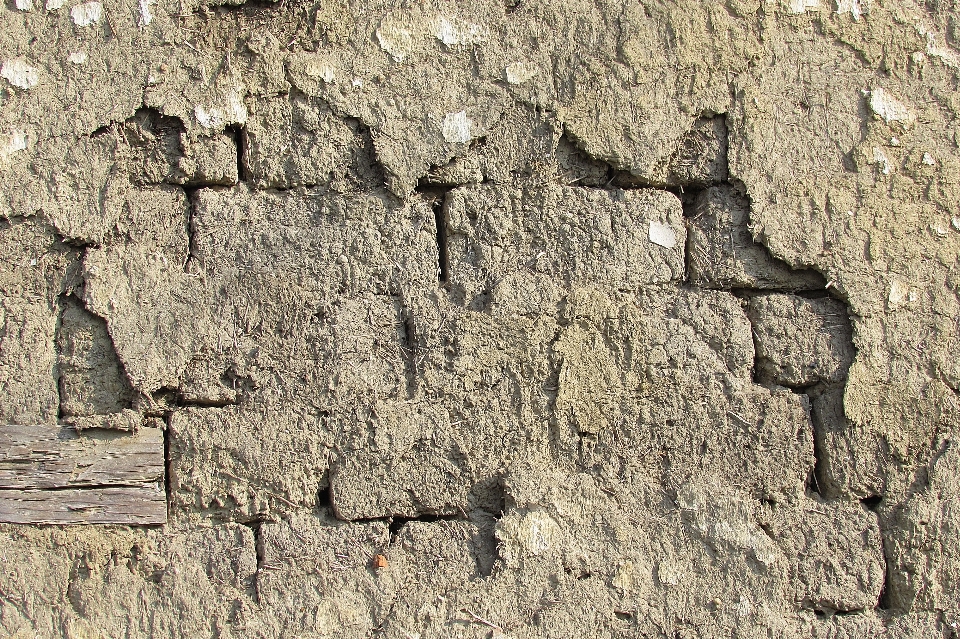 árbol rock estructura madera