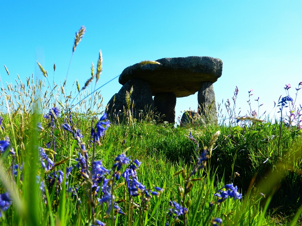 Paysage eau nature herbe