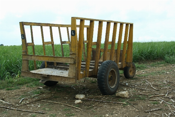 Wood field cart vehicle Photo