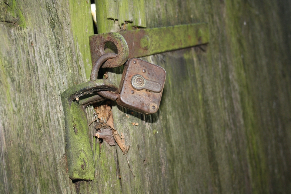 Baum wald holz scheune