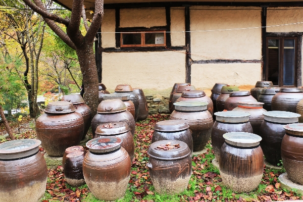 Wood country jar garden Photo