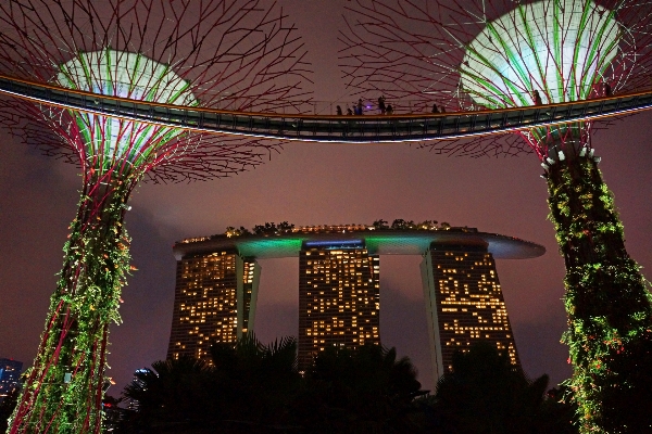 Light night flower arch Photo