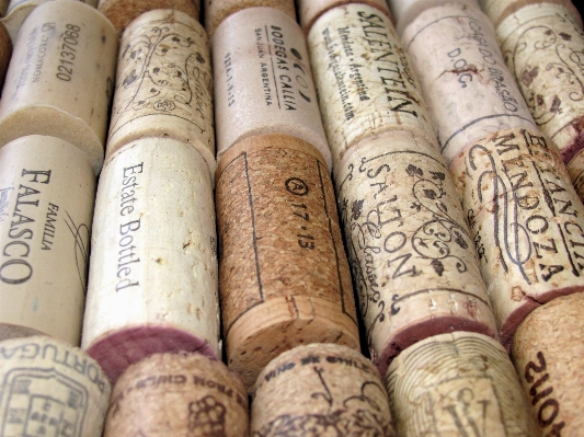 Wood wine material cork Photo