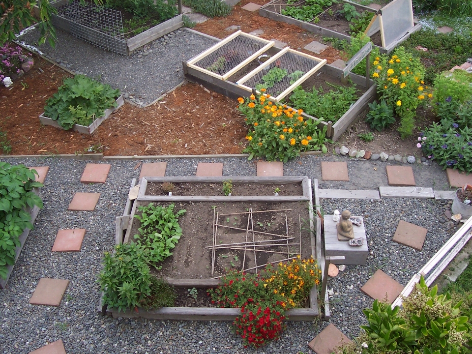 植物 芝生 都市 農業