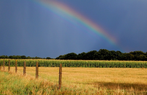 Landscape nature sky field Photo