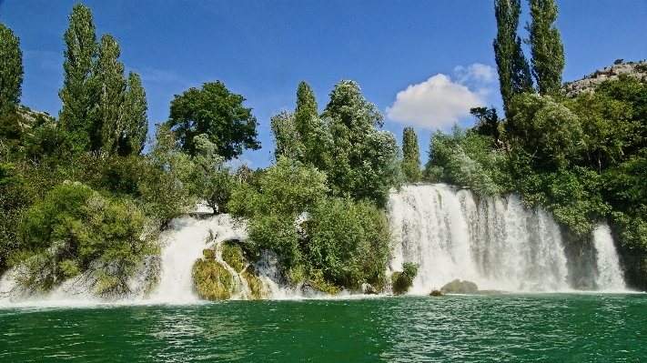 Фото дерево вода водопад река