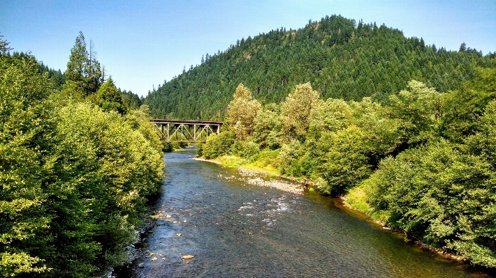 Landscape tree water nature Photo