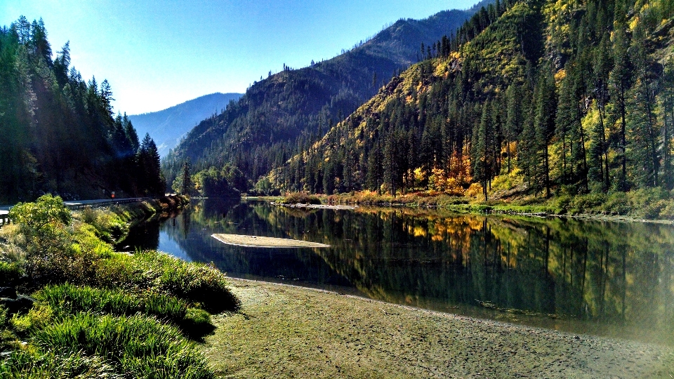 Landschaft baum wasser natur