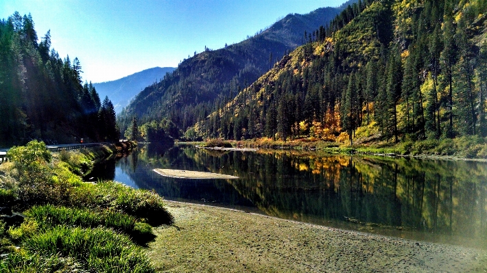 Landscape tree water nature Photo