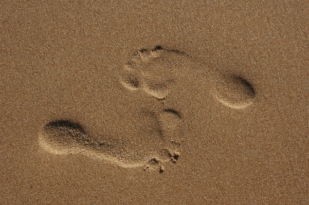 Foto Pantai pasir tekstur lantai