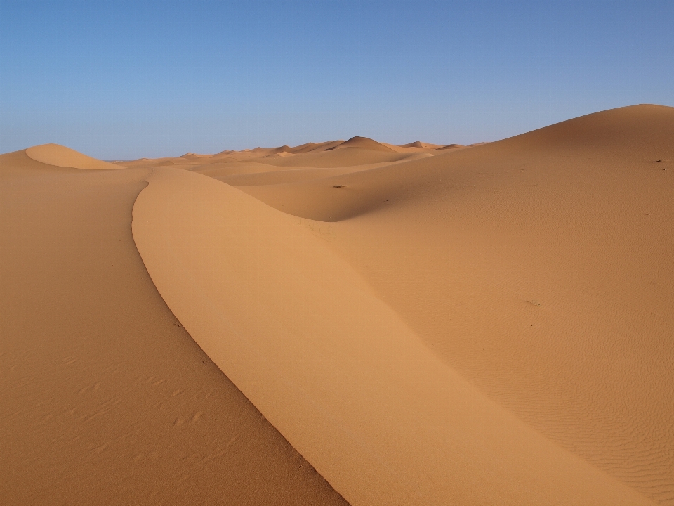 Landschaft sand wüste düne
