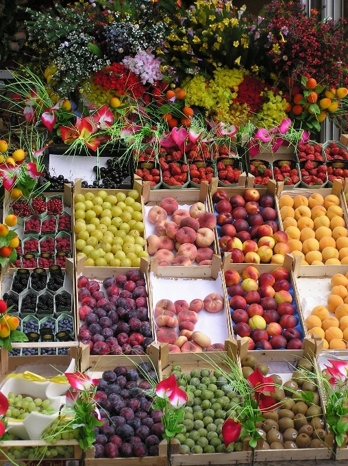 Pianta frutta fiore città