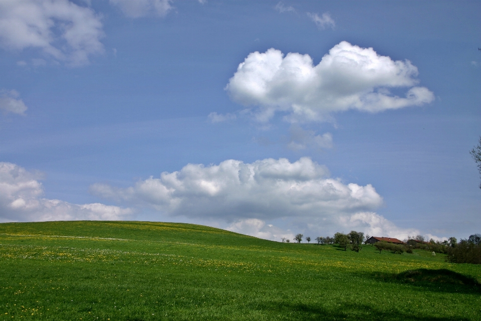 Paisagem natureza grama horizonte