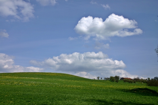 Landscape nature grass horizon Photo