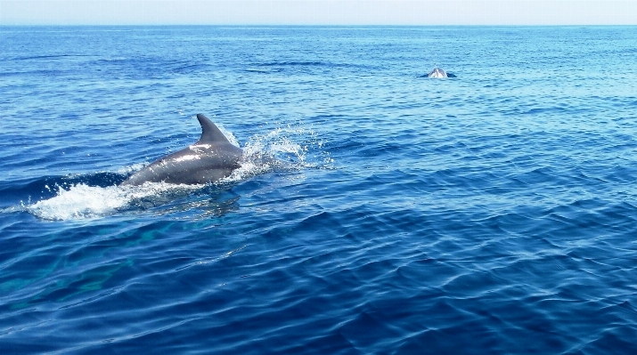 海 水 自然 海洋 写真