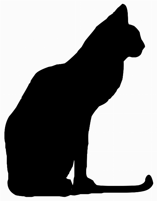 Silhueta animal gato preto