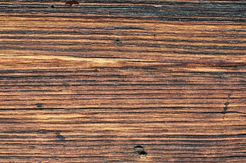 Nature wood texture plank