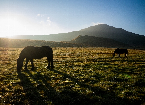 Landscape nature wilderness mountain Photo