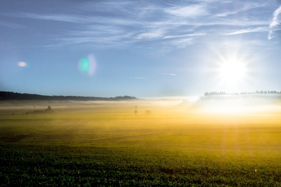 Nature grass horizon light