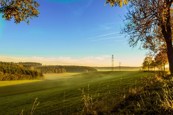 Landschaft baum natur gras Foto