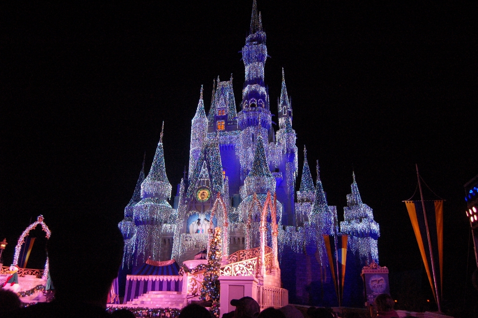 Nacht freizeitpark
 park schloss