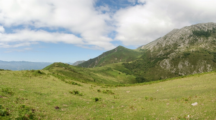 Foto Paesaggio natura erba selvaggia
