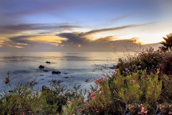 Beach landscape sea coast Photo