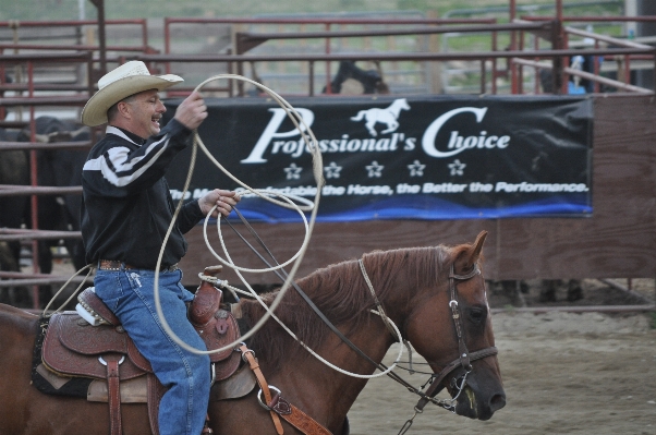 Rope ranch horse equestrian Photo