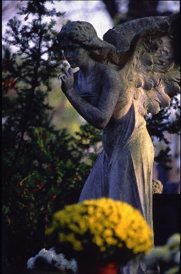 Foto Arsitektur bunga batu monumen