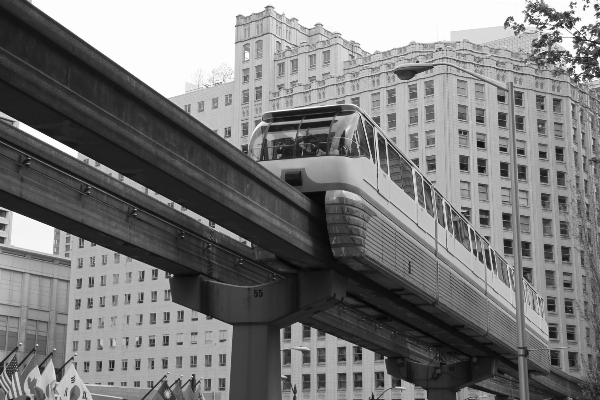 Foto Preto e branco
 arquitetura acompanhar estrada