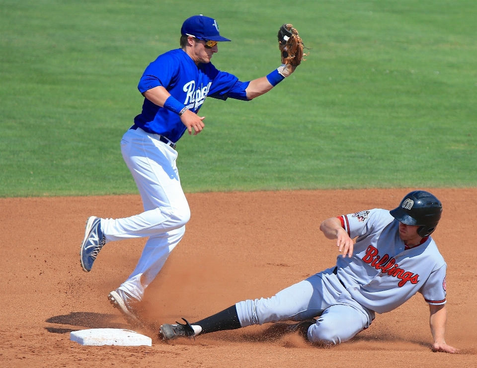 Baseball guanto
 guanto campo