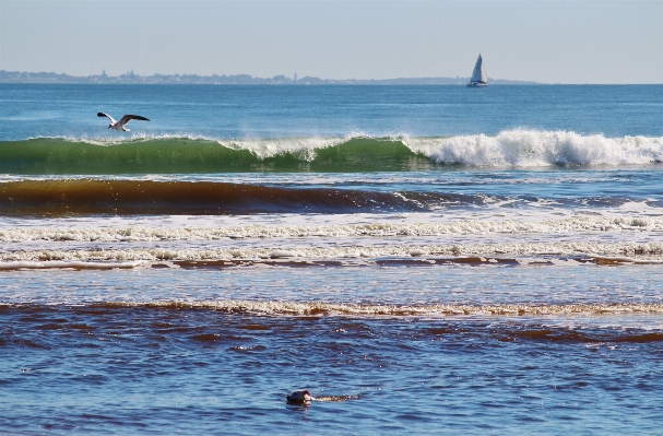 Beach sea coast water Photo